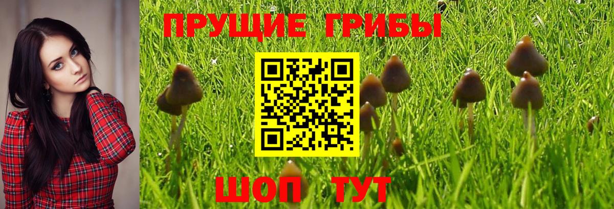 Псилоцибиновые грибы мухоморы Сатка